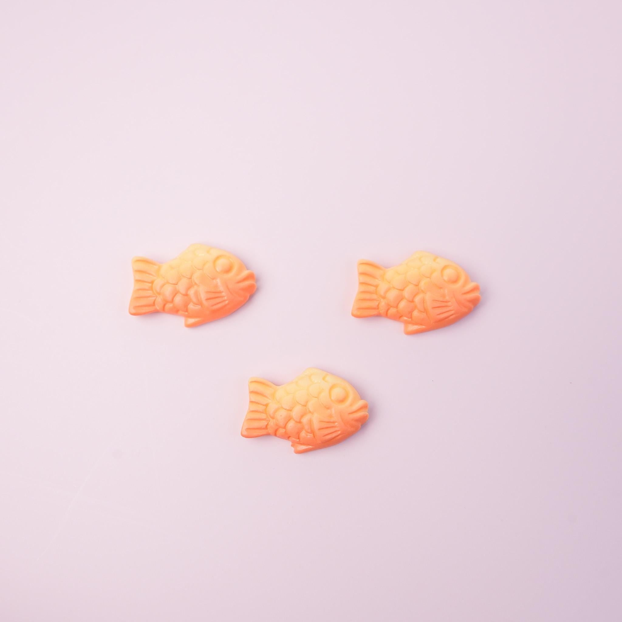Fish - shaped Pastry Magnet Set - Mini Story Co