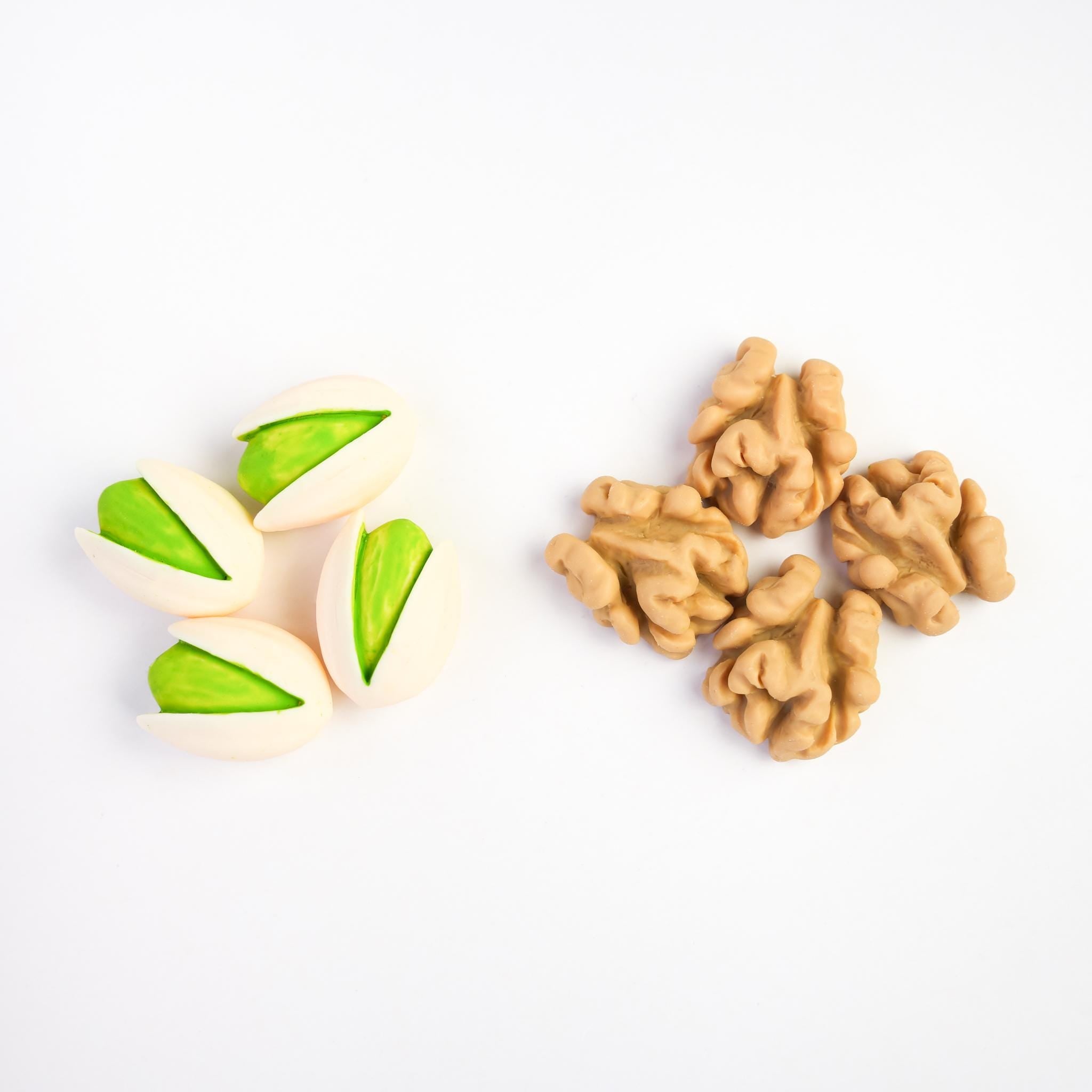 Pistachio and Walnut Magnet Set