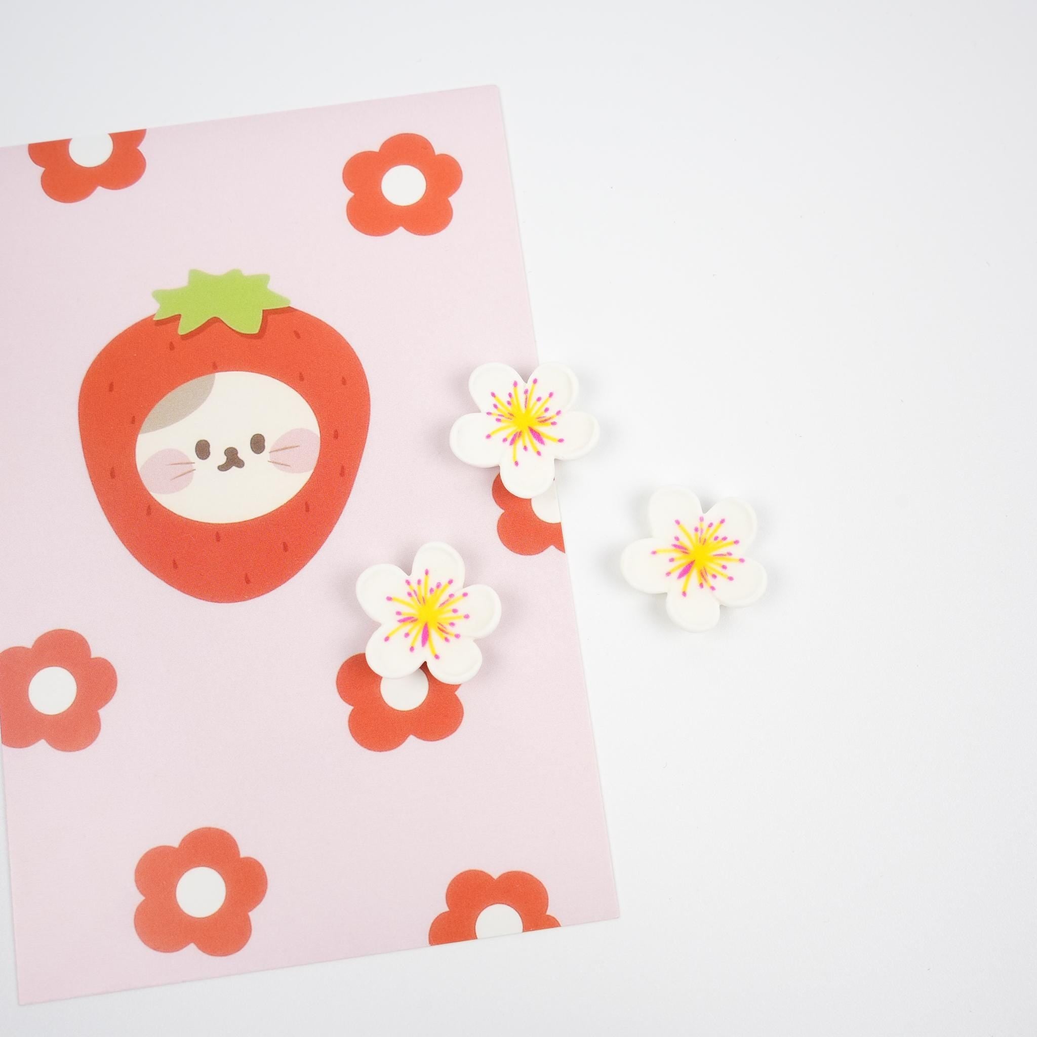 Sakura Flower Magnet Set