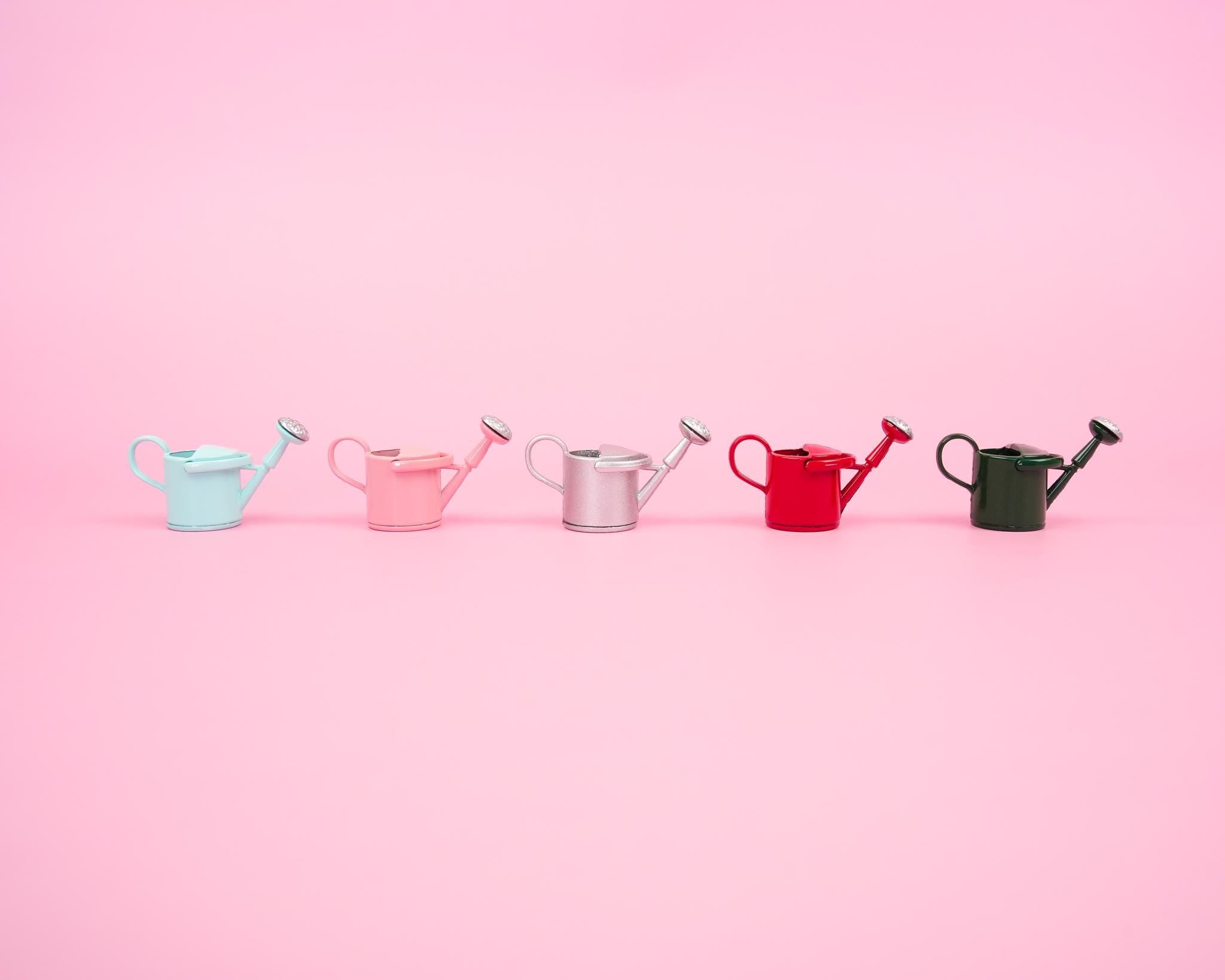 Colourful Watering Can Fridge Magnet | Tiny Garden Flower Watering Pot and Plant Magnet Pair | Gift for Home | Garden Themed Kitchen Decor