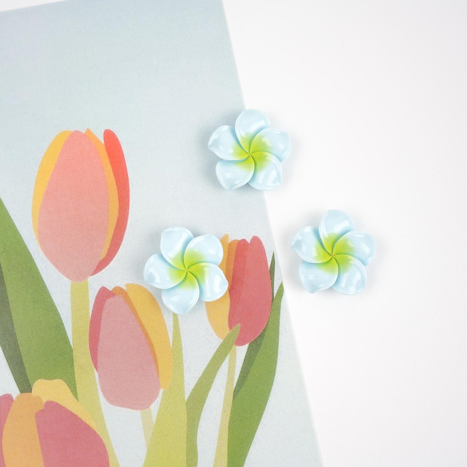 Plumeria Flower Magnet Set - Mini Story Co