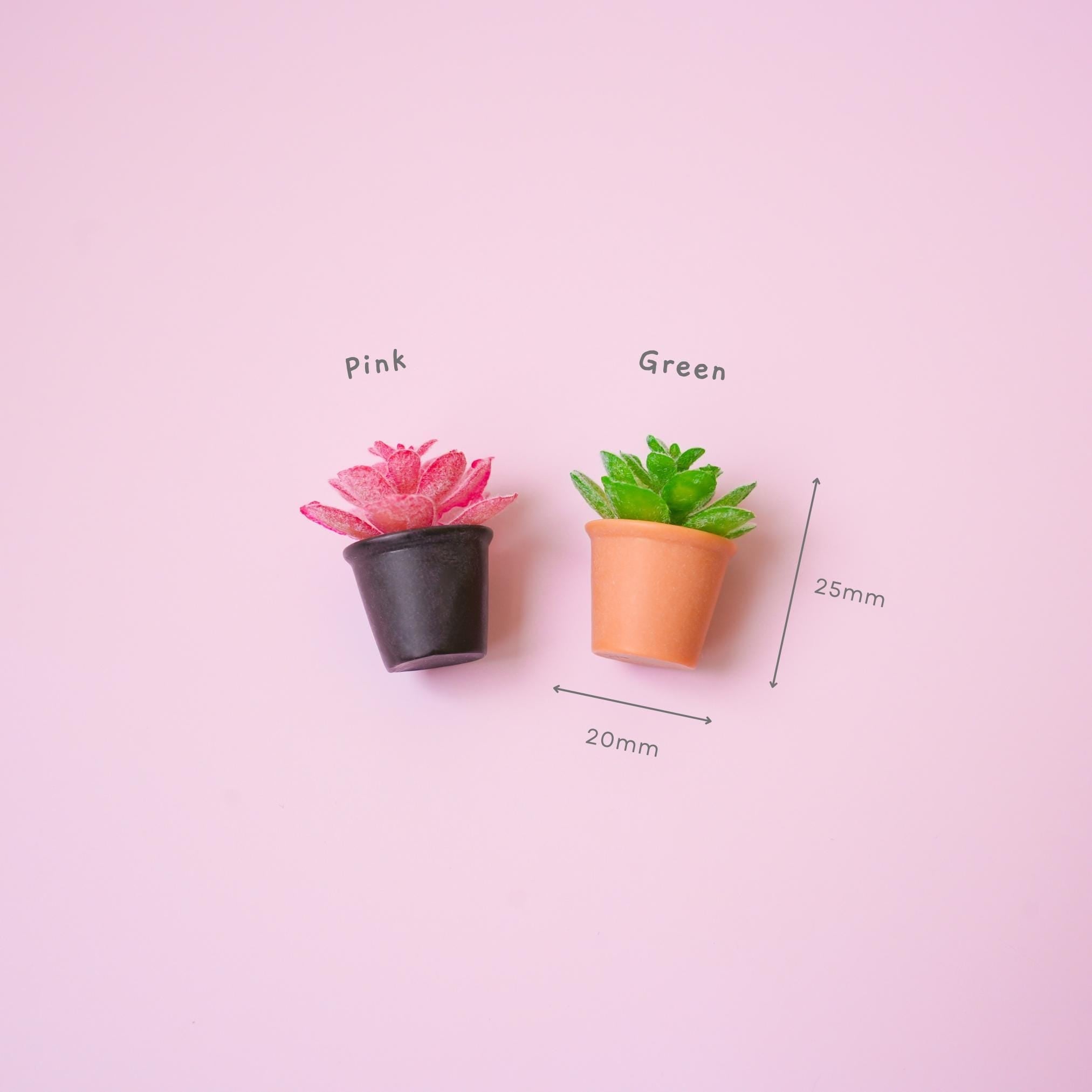 Succulent Plant Magnet - Mini Story Co