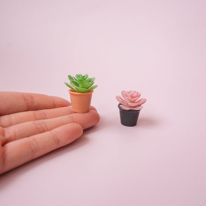 Succulent Plant Magnet