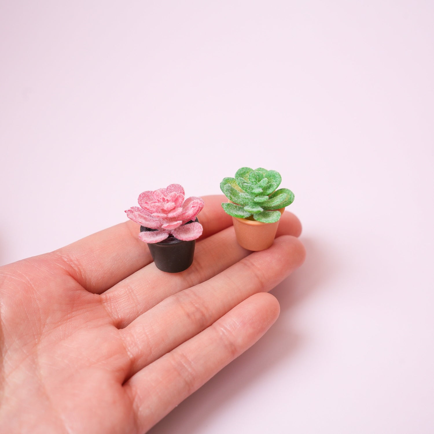 Succulent Plant Magnet