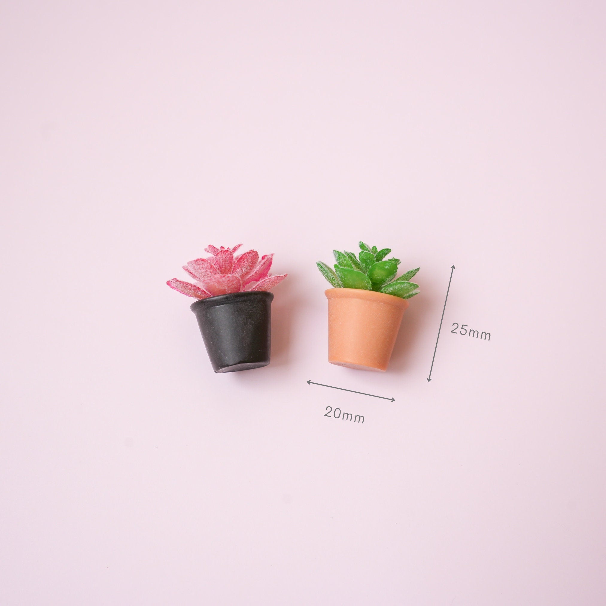 Succulent Plant Magnet