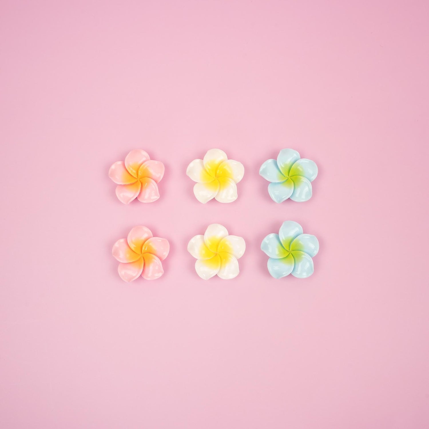 Plumeria Flower Magnet Set