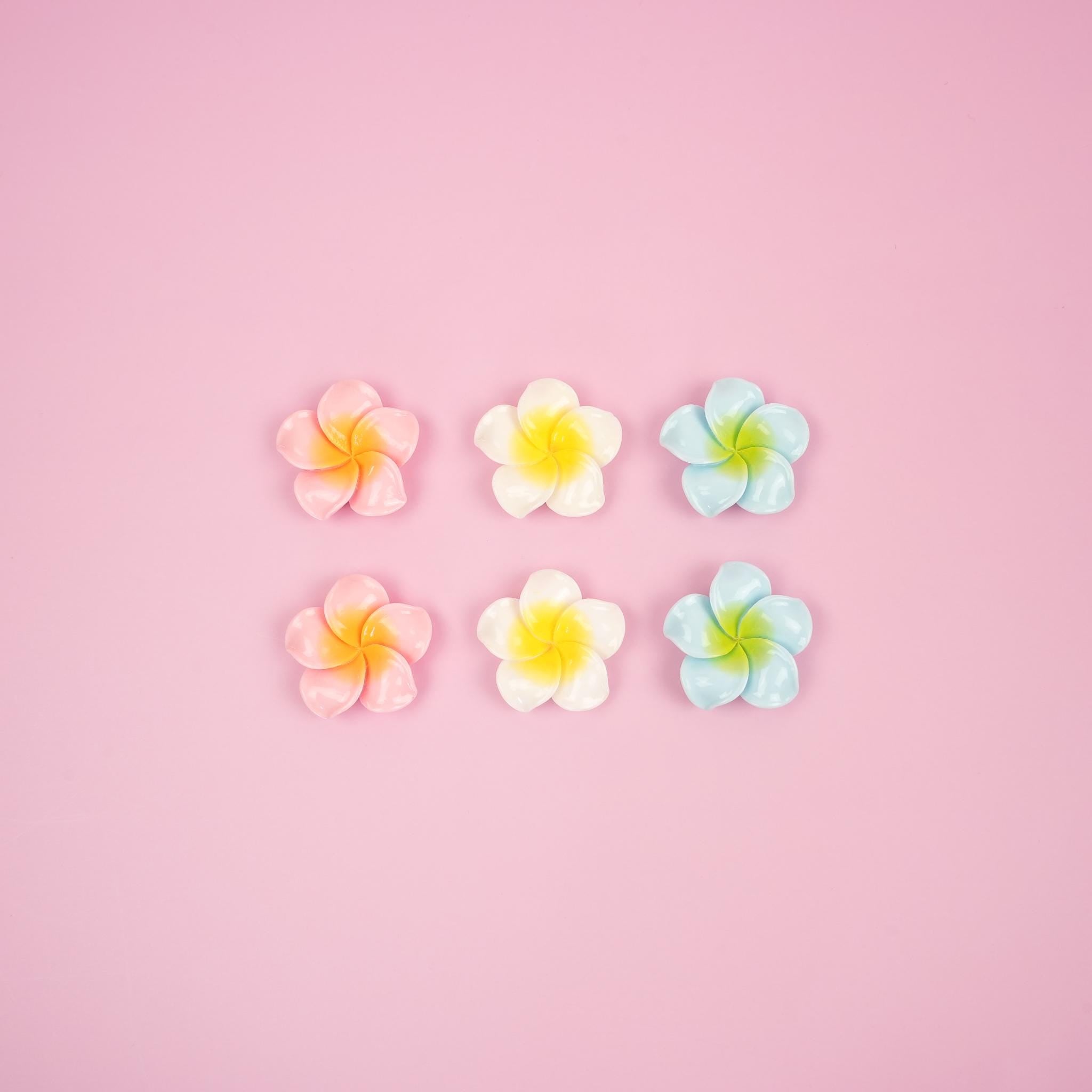 Plumeria Flower Magnet Set