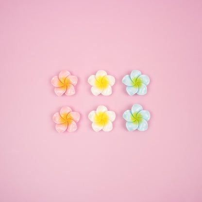 Plumeria Flower Magnet Set