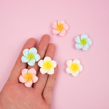 Plumeria Flower Magnet Set