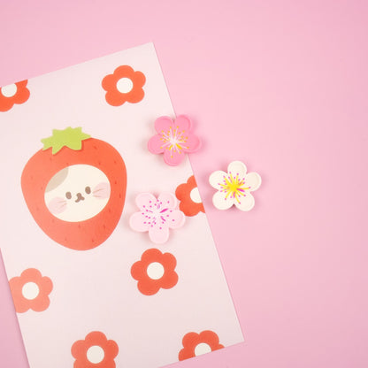 Sakura Flower Magnet Set