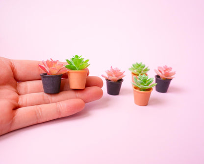 Succulent Plant Magnet