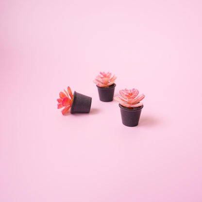 Succulent Plant Magnet