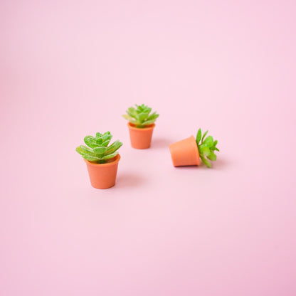 Succulent Plant Magnet