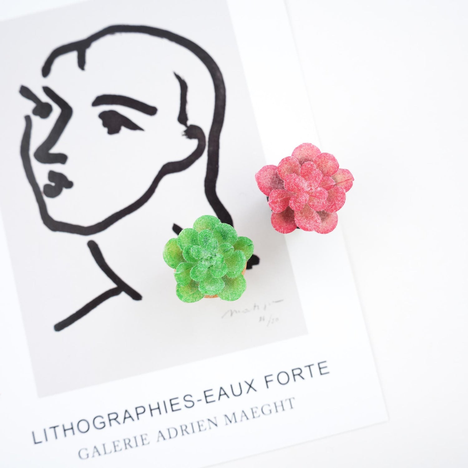 Succulent Plant Magnet