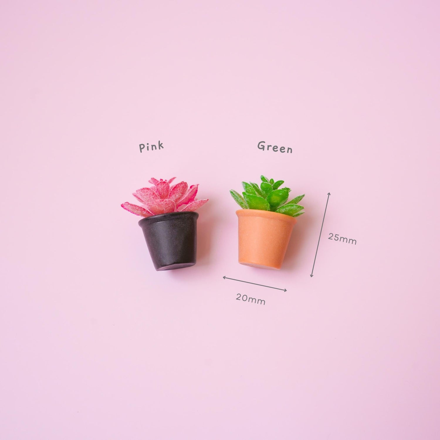 Succulent Plant Magnet