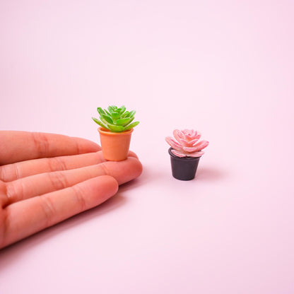 Succulent Plant Magnet