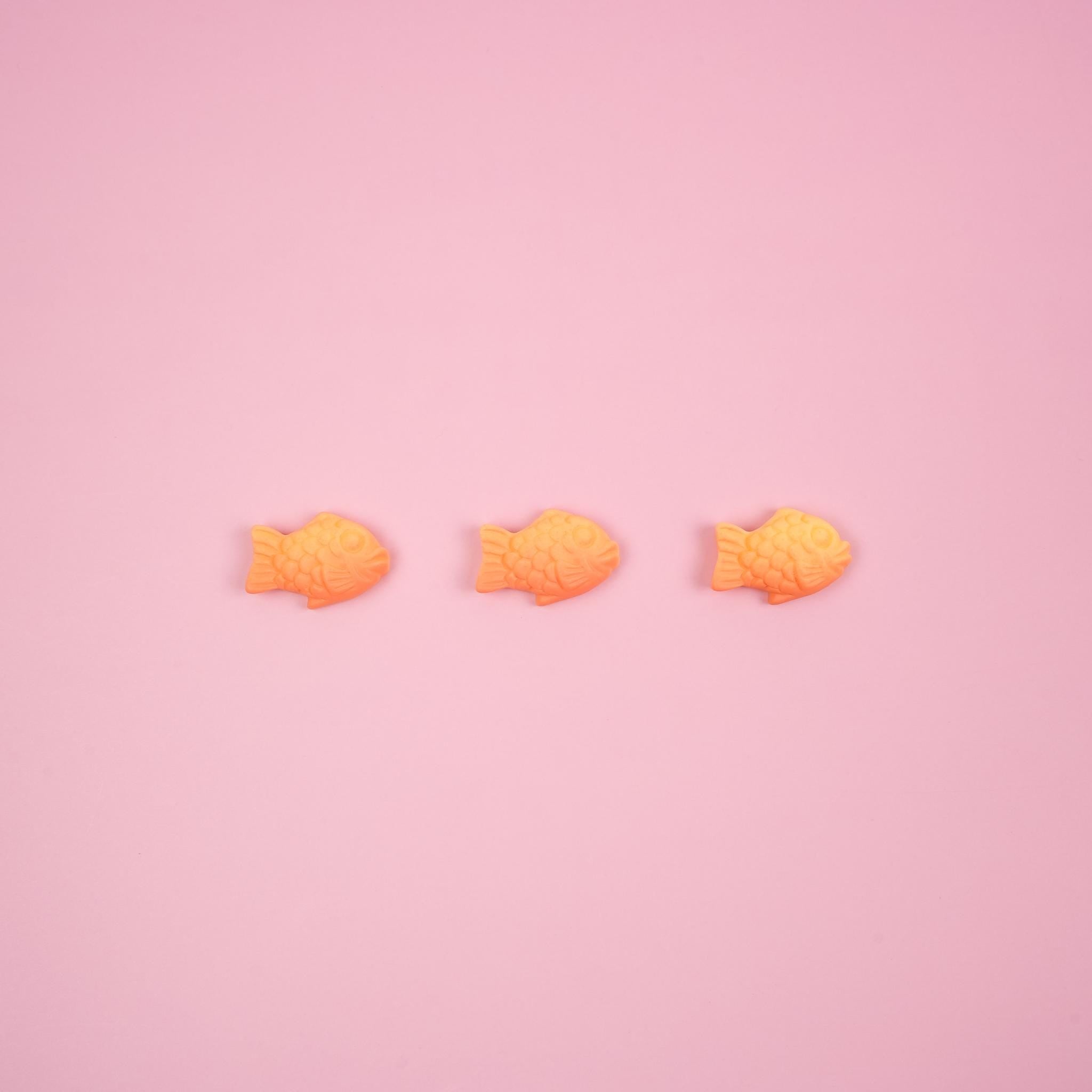 Japanese Taiyaki Brooch | Korean Bungeoppang Fish Bread Pin - Mini Story Co