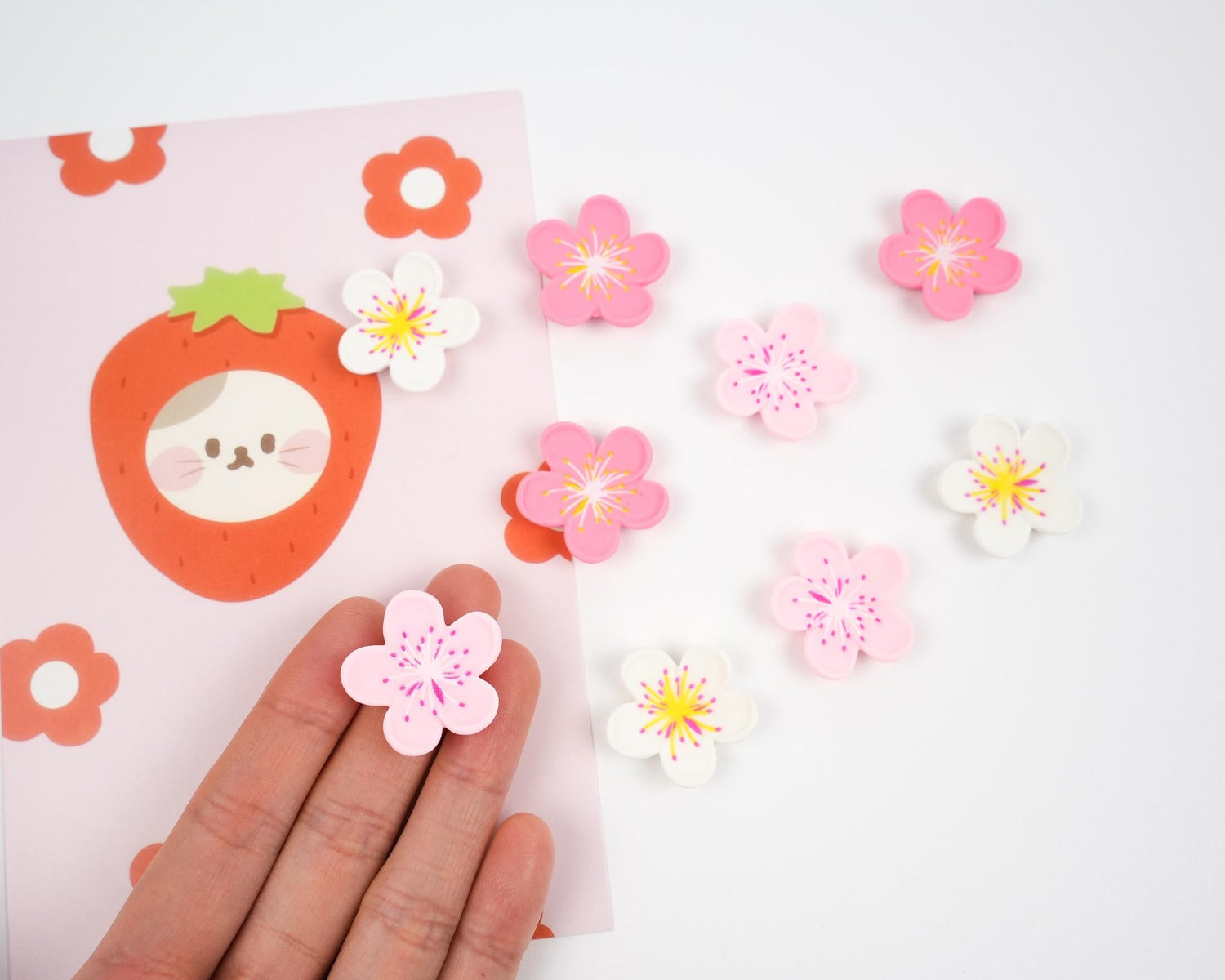 Sakura Flower Magnet Set - Mini Story Co