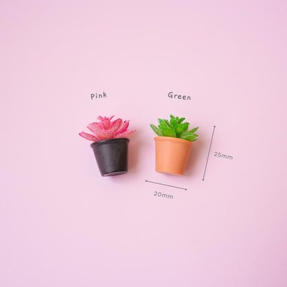Succulent Plant Magnet - Mini Story Co