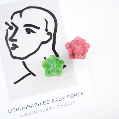Succulent Plant Magnet - Mini Story Co