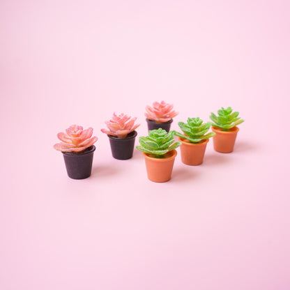 Succulent Plant Magnet - Mini Story Co